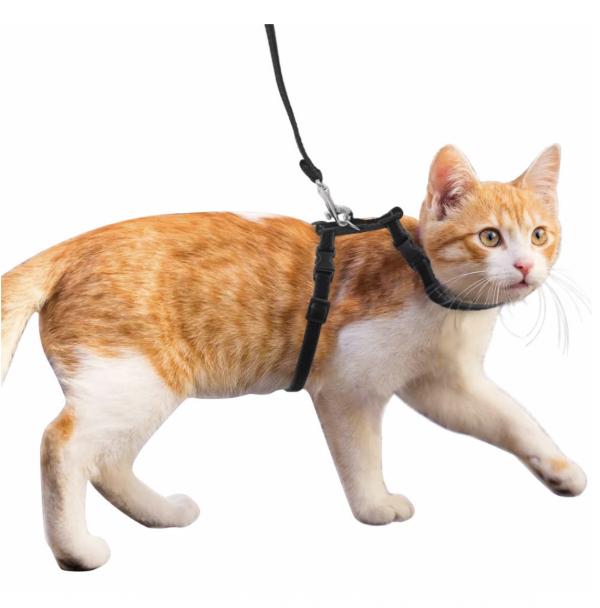 Cat Harness and Lead Set The Nomad Cats